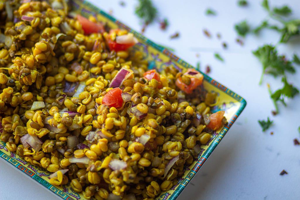 sprouted green lentils