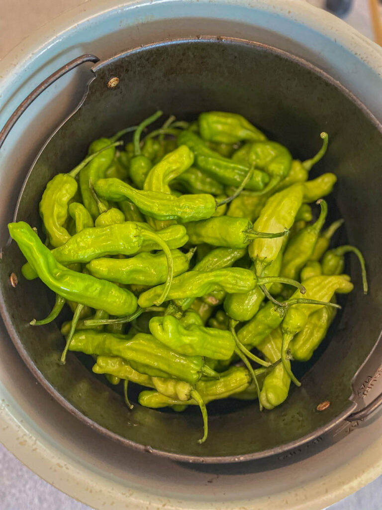 air fry shishito peppers in a preheated air fryer